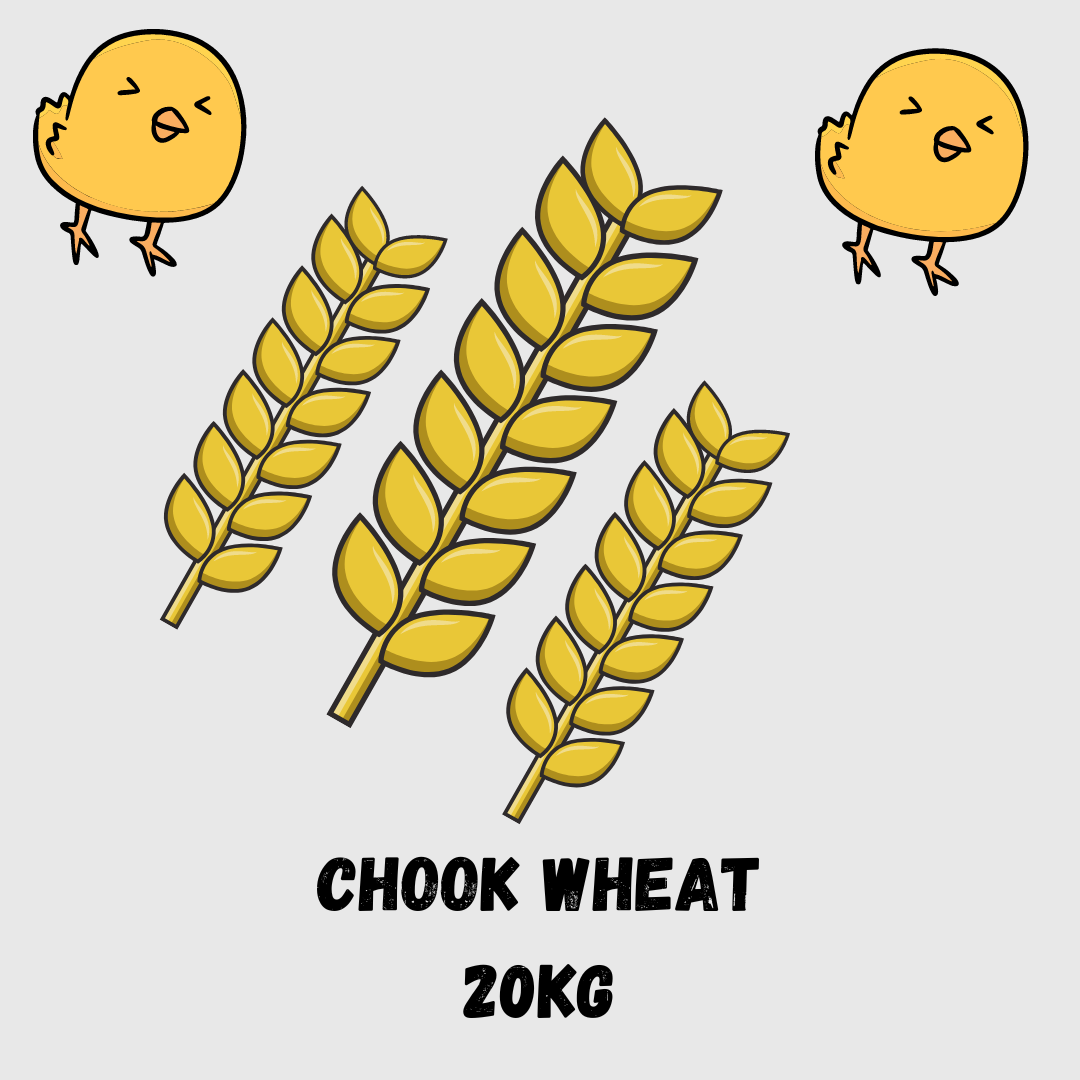Chook Wheat 20kg