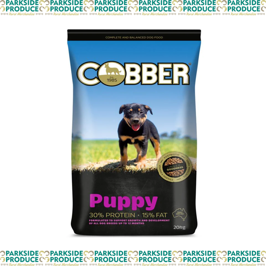Cobber Puppy