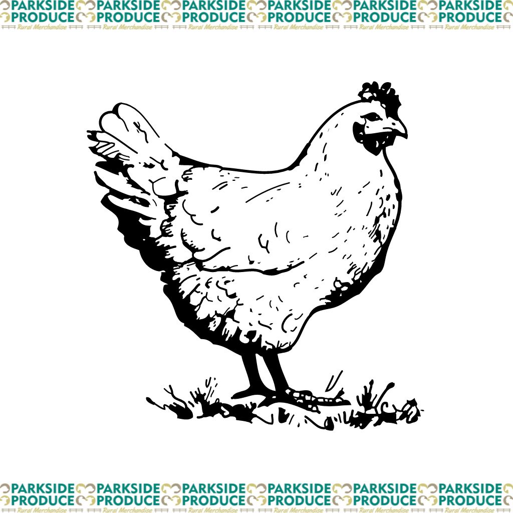 Spring Clean your Chicken Coop