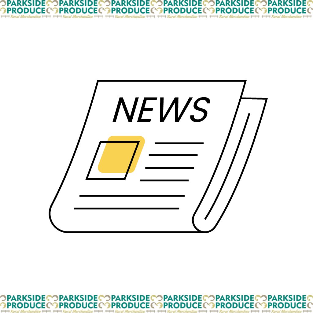 Newsletters and Notifications