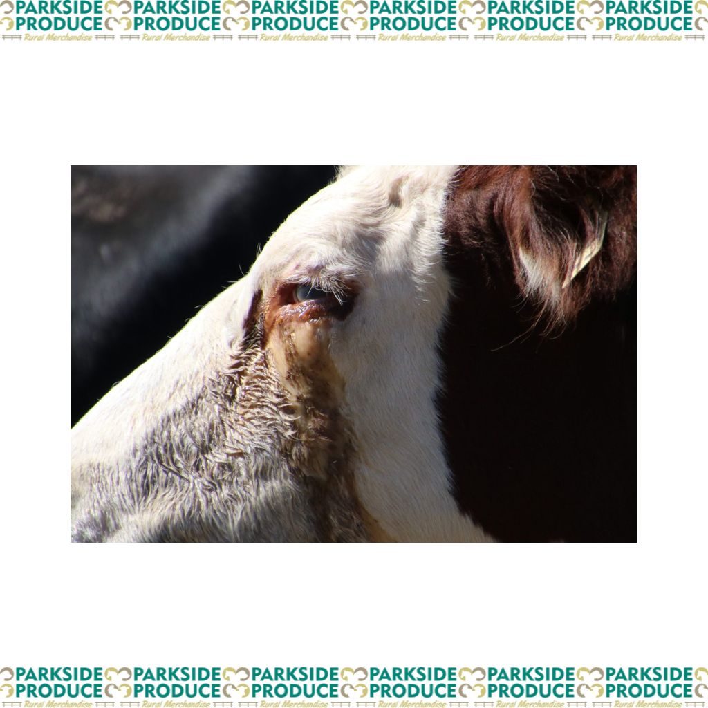 What is Pinkeye and How do I treat it?