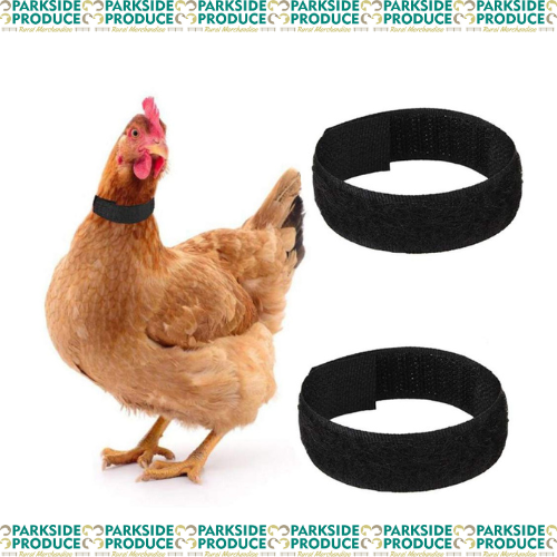 2pk Rooster Collar - Anti Crow