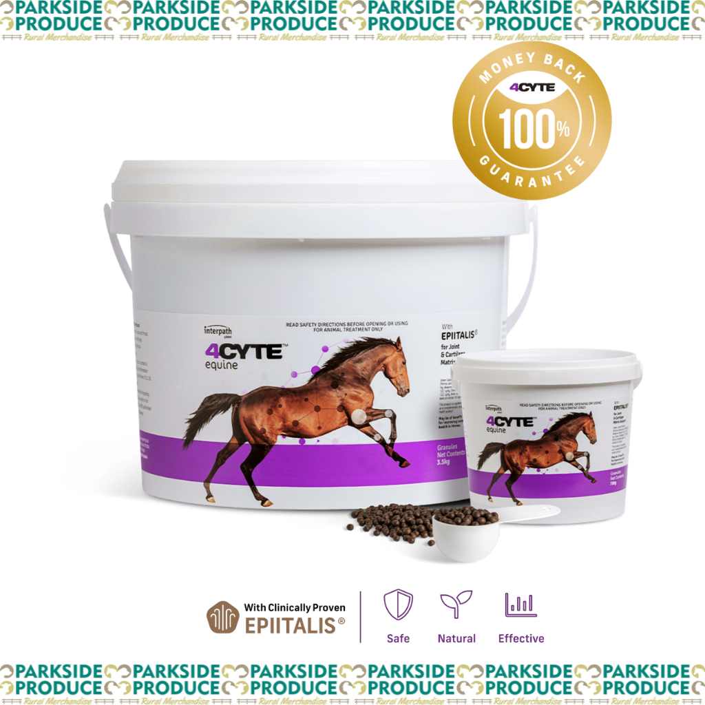 4CYTE Equine Granules