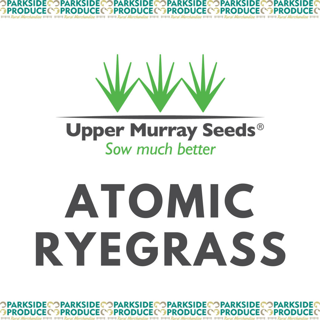 UMS Atomic Ryegrass /kg