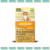 Advocate Cat 0-4kgs Small 3s