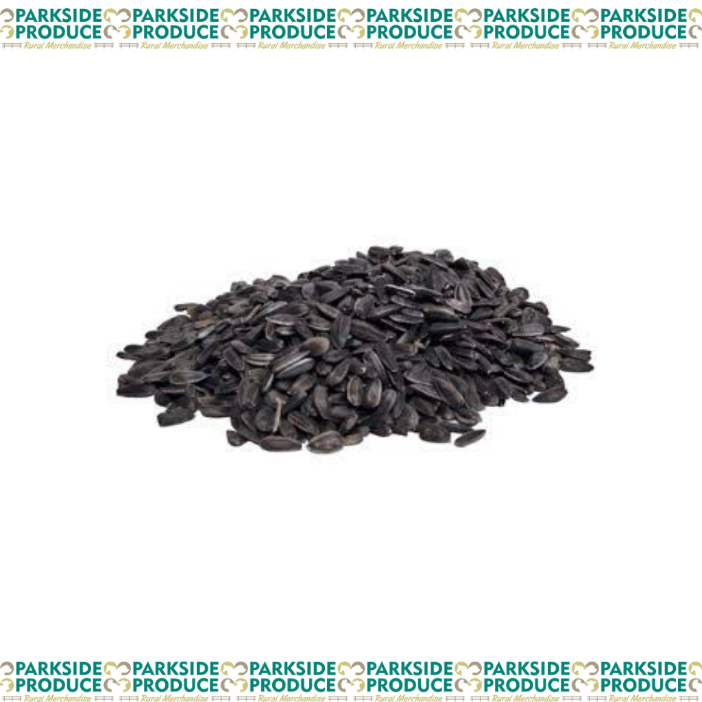 Black Sunflower Seed