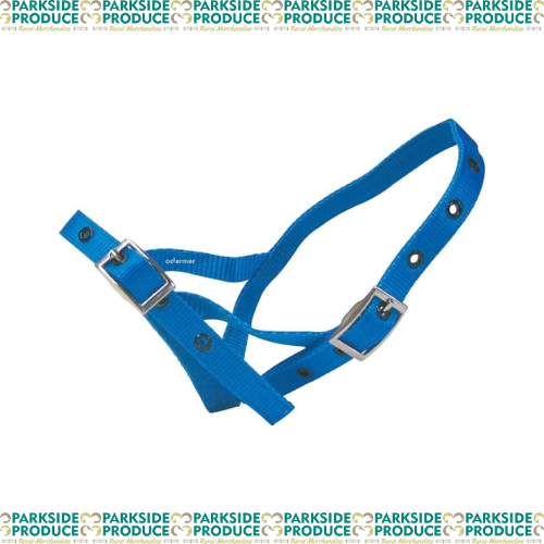 Calf Tethering Halter Nylon Blue