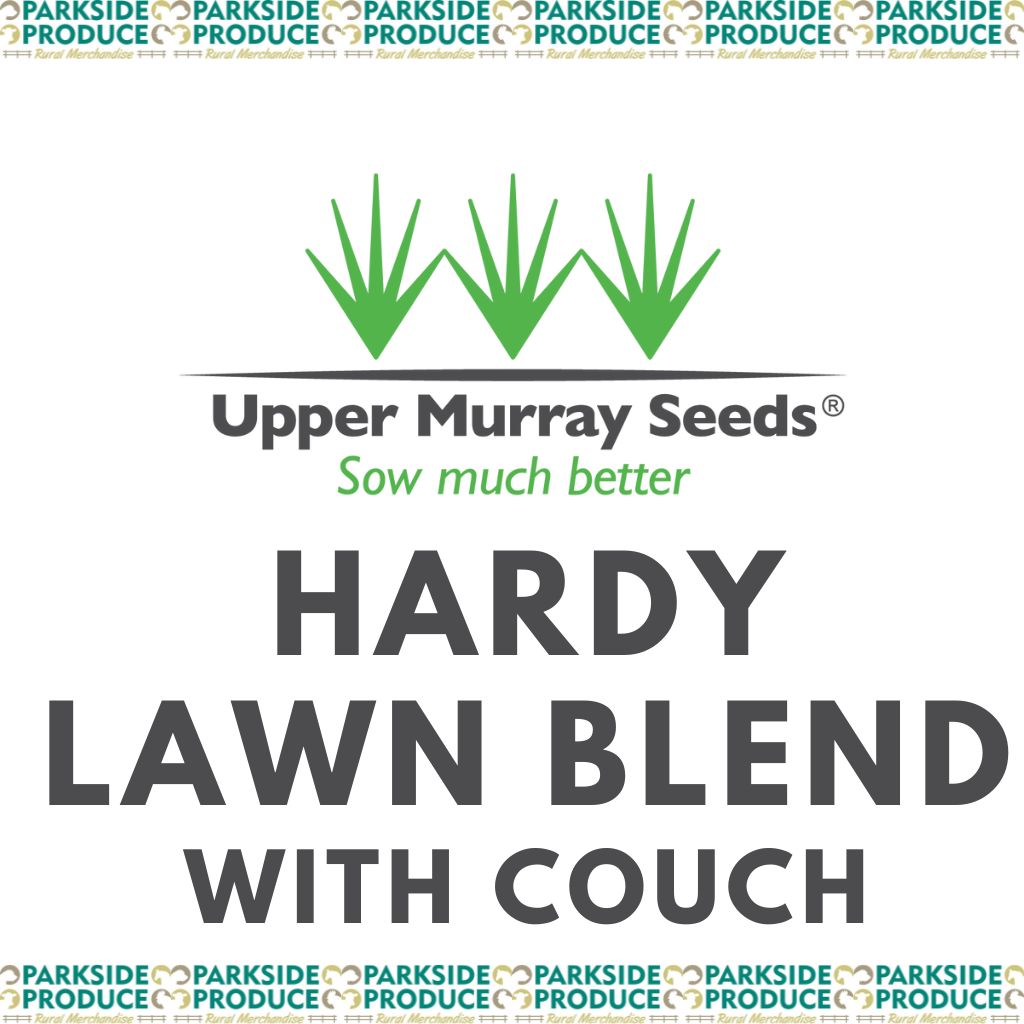 Hardy Lawn Blend with Couch /kg