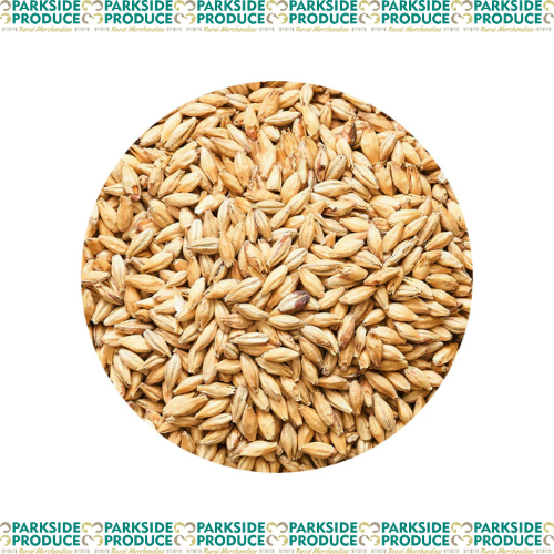 Feed Barley