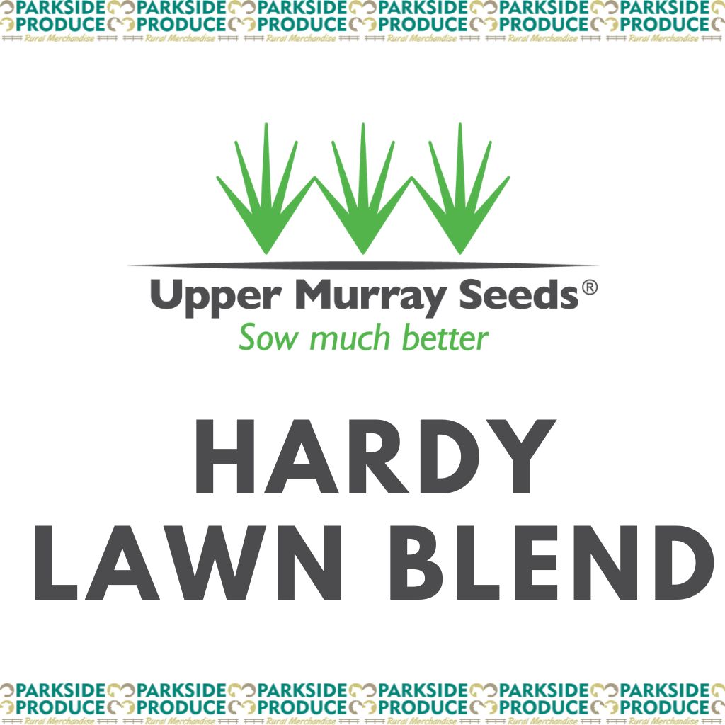 UMS Hardy Lawn Blend /kg