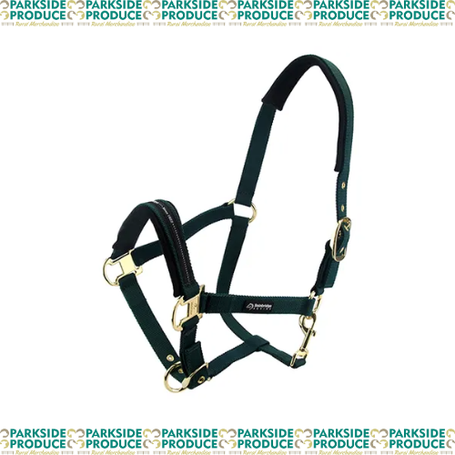 Horse Halter Cob