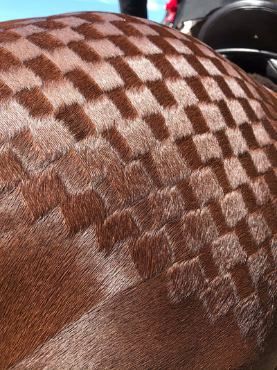 QTR Mark Spray HAIRY PONY