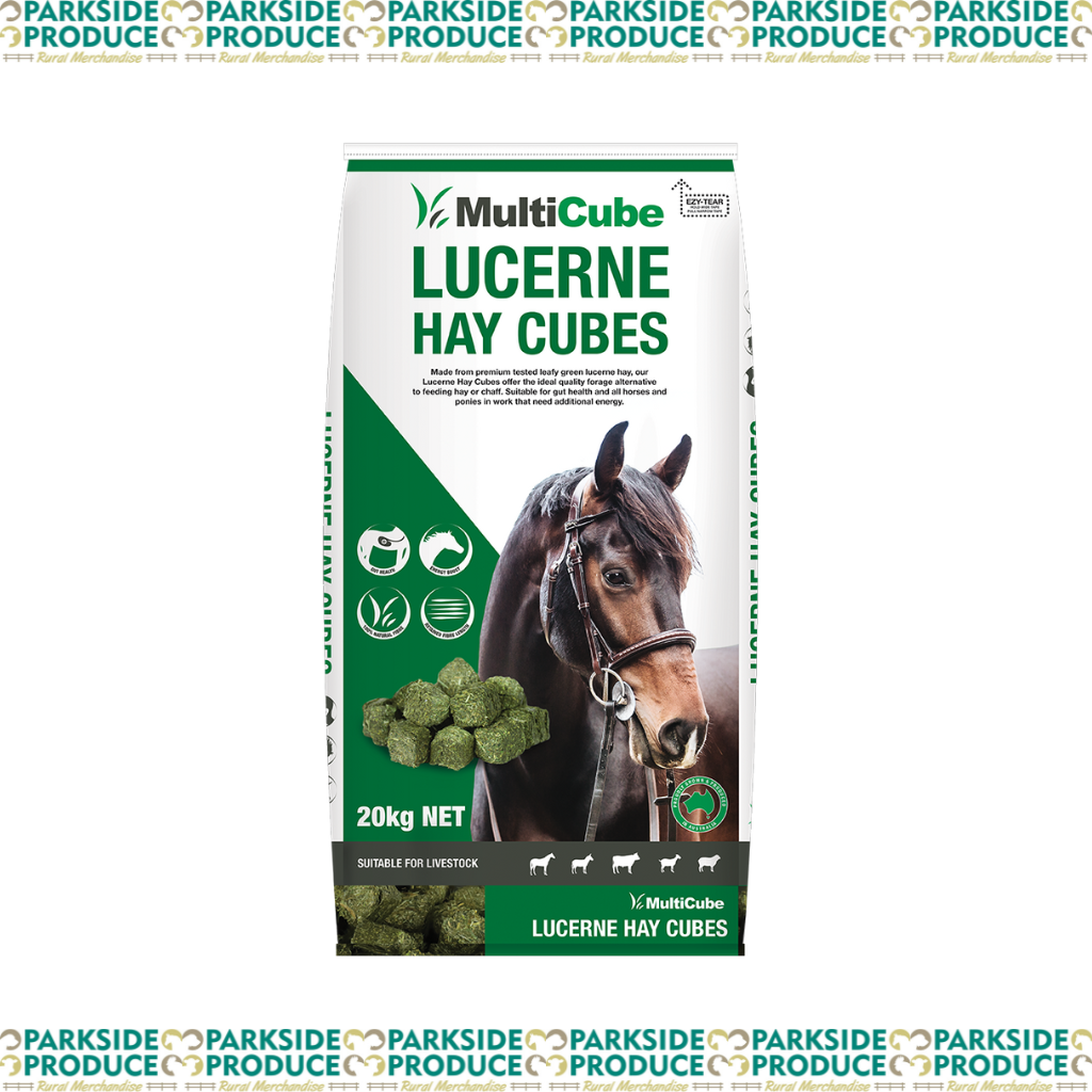 HAY CUBES - Lucerne
