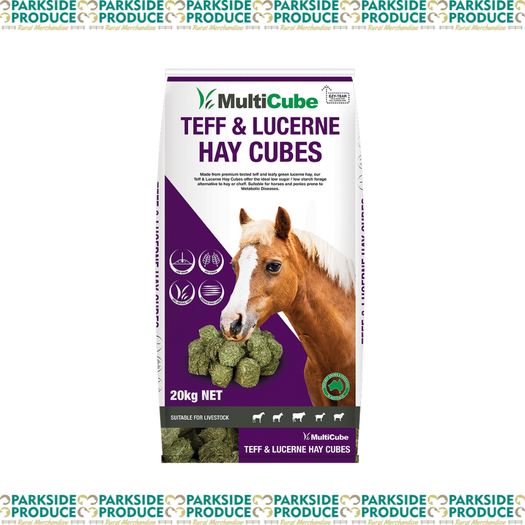 HAY CUBES - Lucerne/Teff