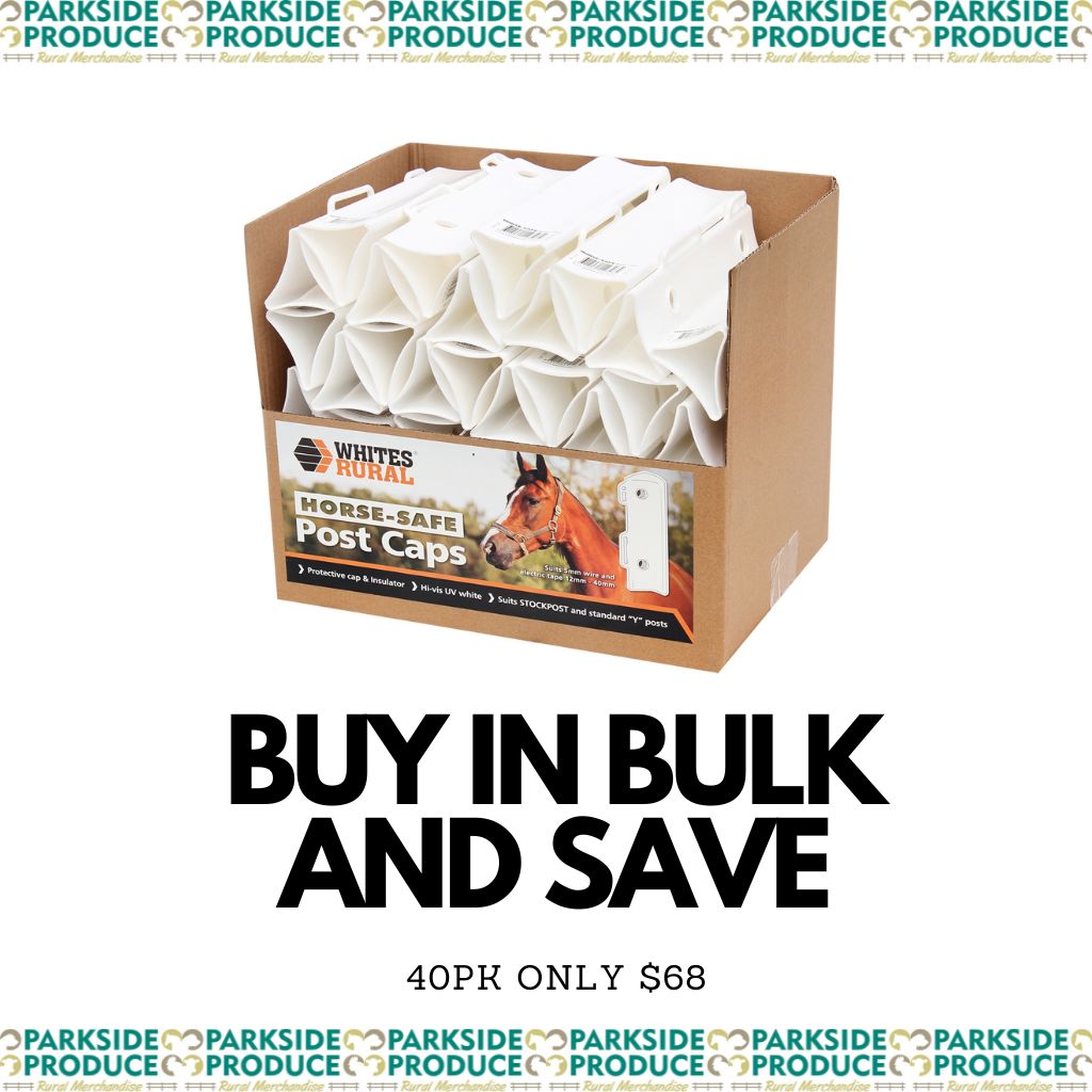 Horse Safe White Post Cap 40pk BULK **