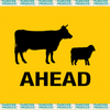 Road Sign - Cattle Ahead  Reflective Yellow 750 x 750