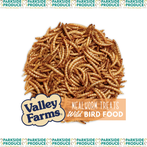 Valley Meal Worms (Dried)