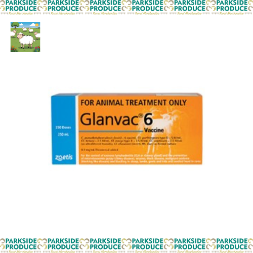 Zoetis Glanvac 6