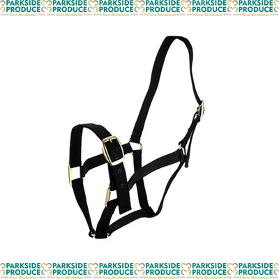 Horse Halter
