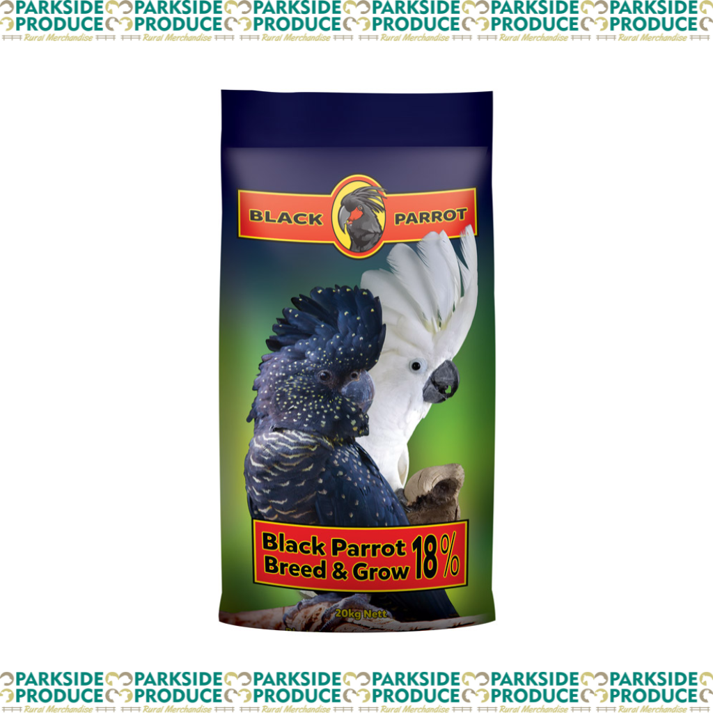 Black Parrot Breed and Grow 18% **