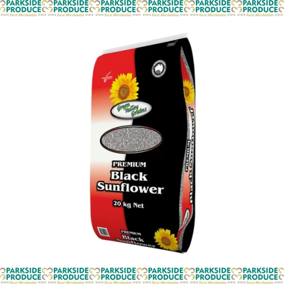 Black Sunflower Seed