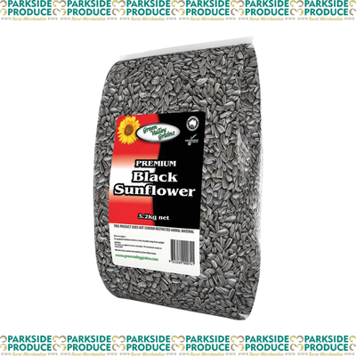 Black Sunflower Seed