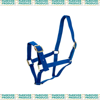 Horse Halter