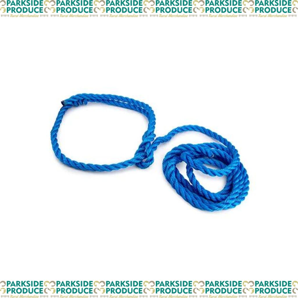 Calf Halter Poly Rope Blue Small