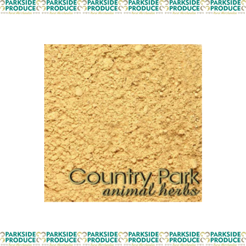 Burdock Root Powder