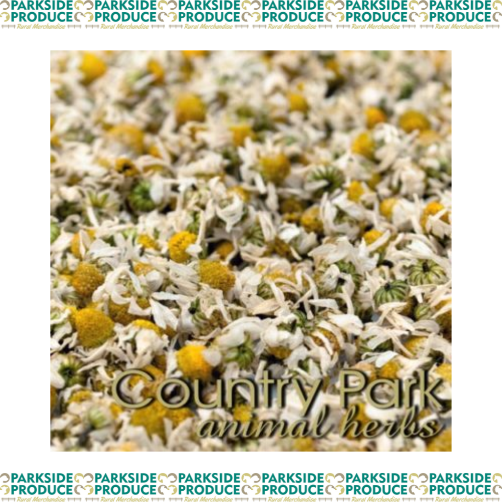 Chamomile Flowers