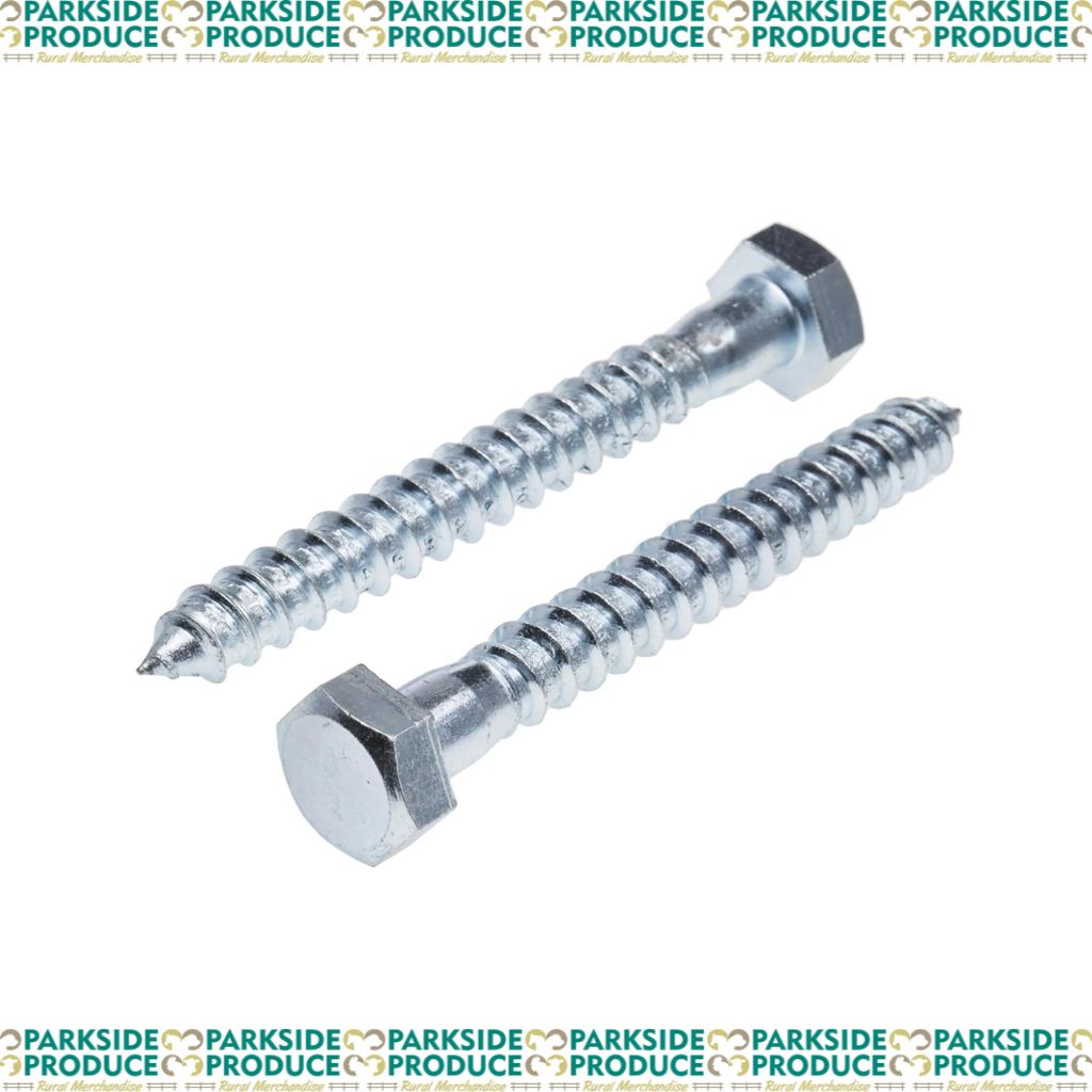 Coach Screws 12mm X 75mm