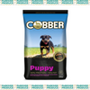Cobber Puppy
