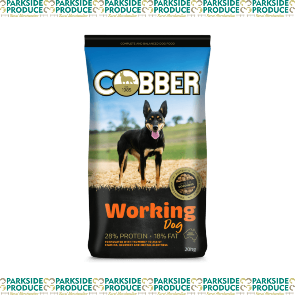 Cobber Working Dog