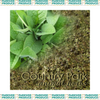 Comfrey Leaf