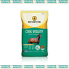 Cool Vitality