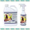 COOP Clean