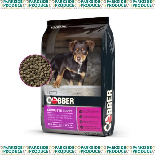 Cobber Puppy