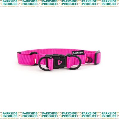 Nylon Double Ring Dog Collar - Premium