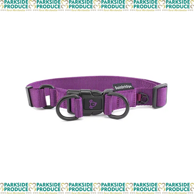 Nylon Double Ring Dog Collar - Premium