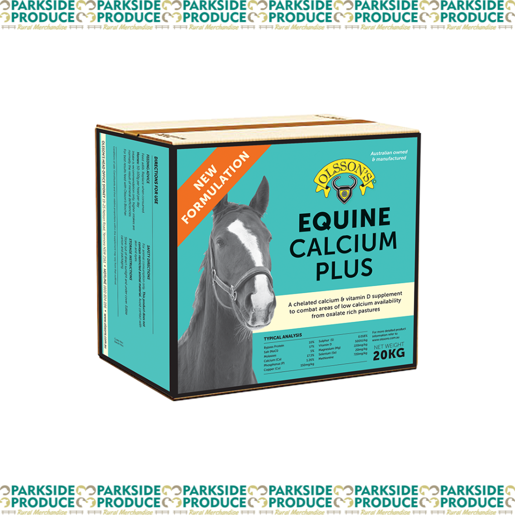 Equine Calcium Plus