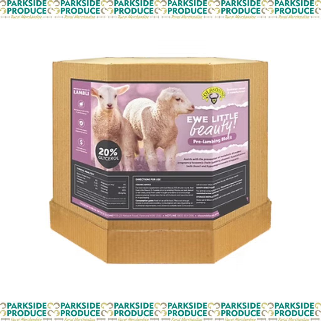 Ewe Little Beauty (Lambli)