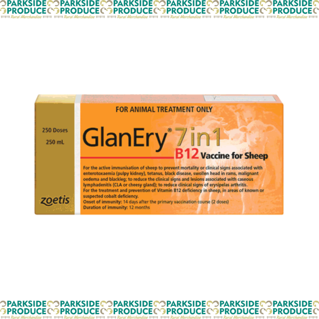 GlanEry 7 in 1 B12