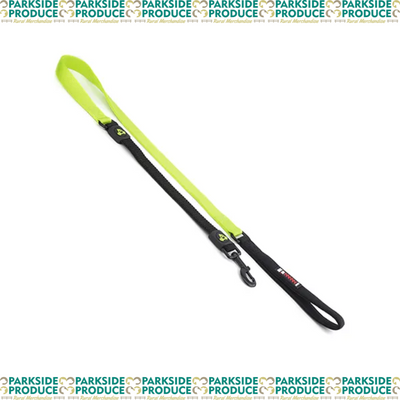 Dog Lead Bungee - 2.5 x 120cm w/bungee