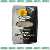Grey Stripe Sunflower