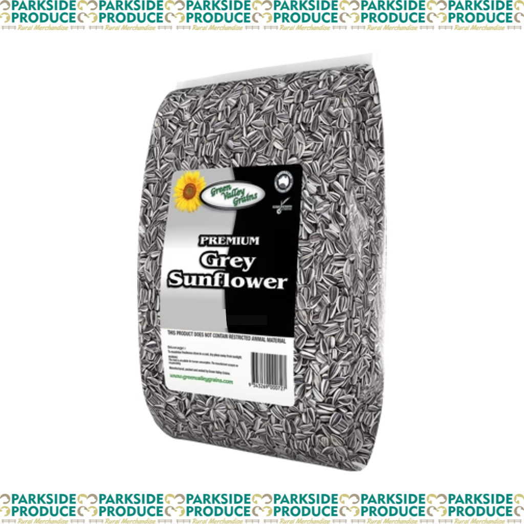 Grey Stripe Sunflower