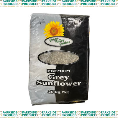 Grey Stripe Sunflower