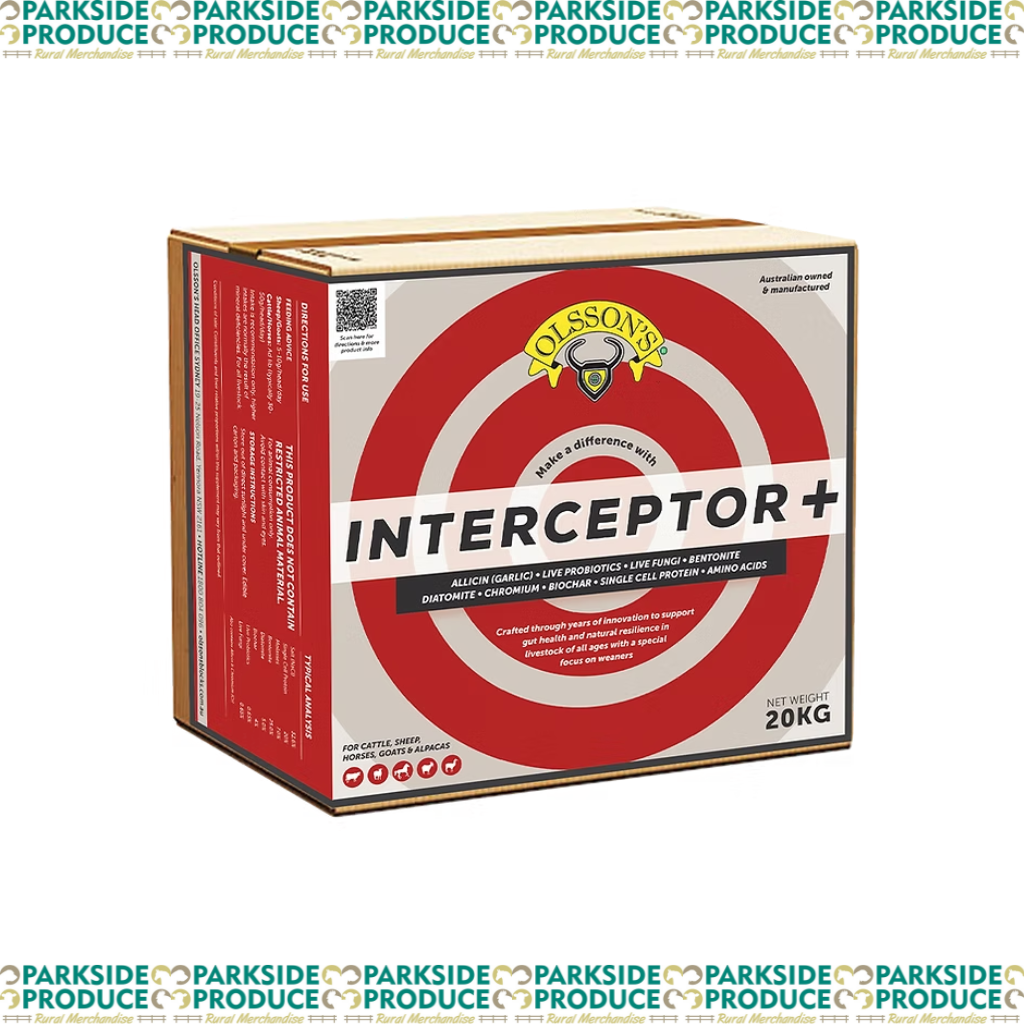 Interceptor