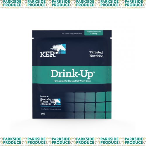 Drink Up Sachet 80g