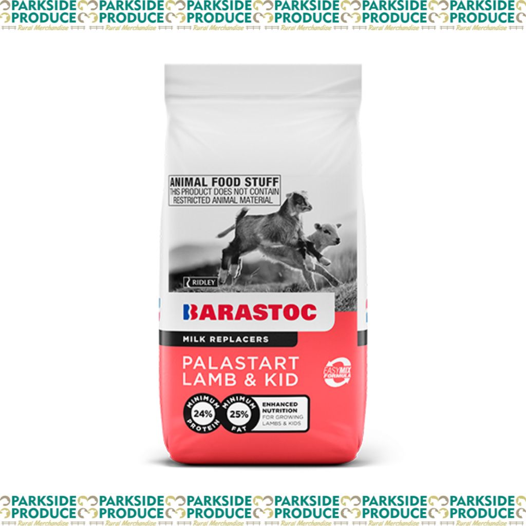 Palastart Lamb and Kid