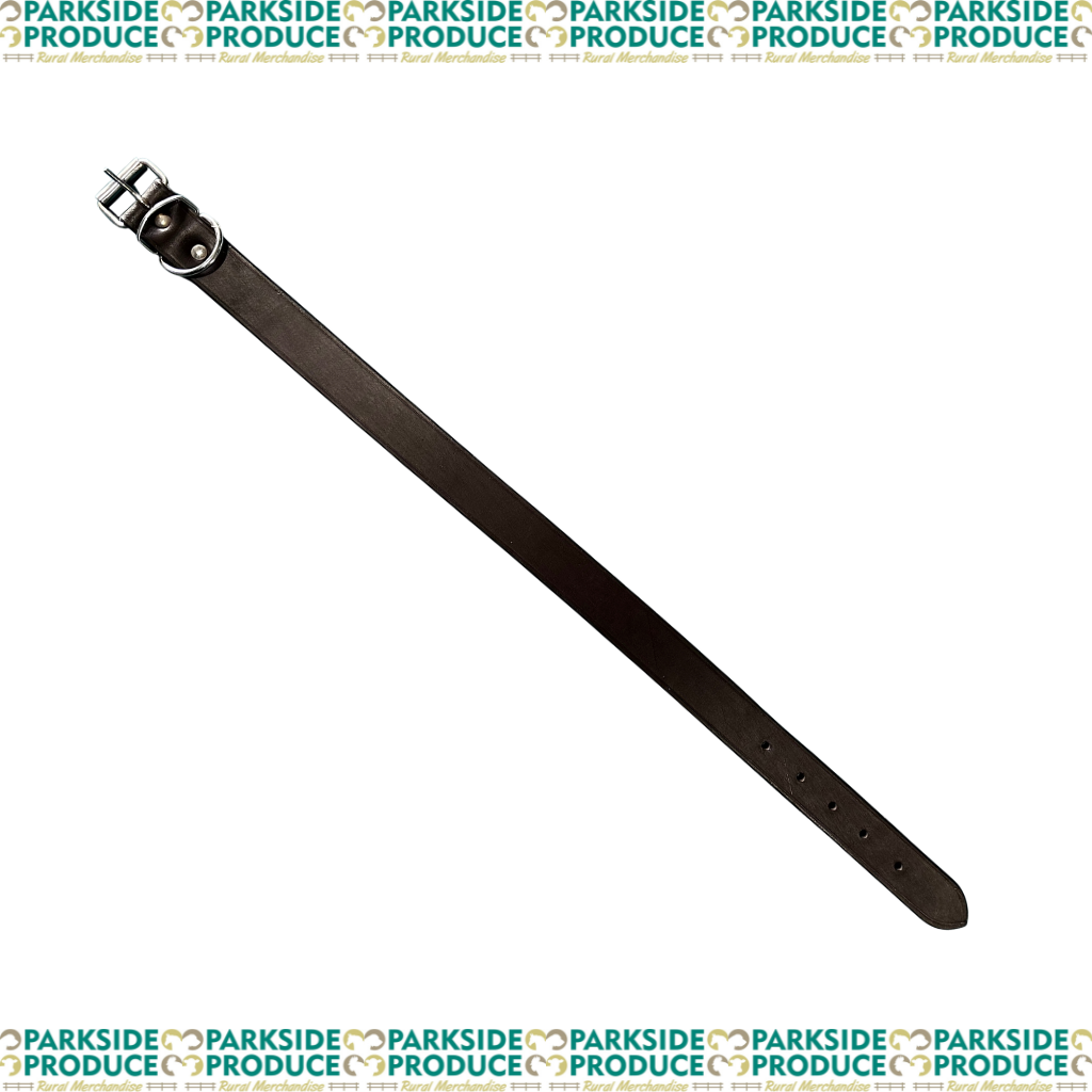 Leather Dog Collar 65cm x 33mm